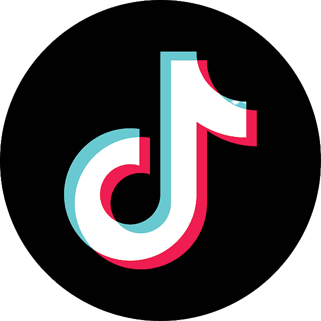 TikTok Rasmi PTSS